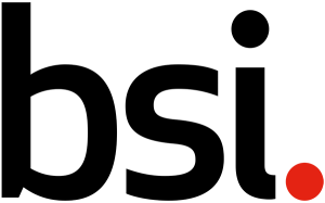 British Standard Institute Logo